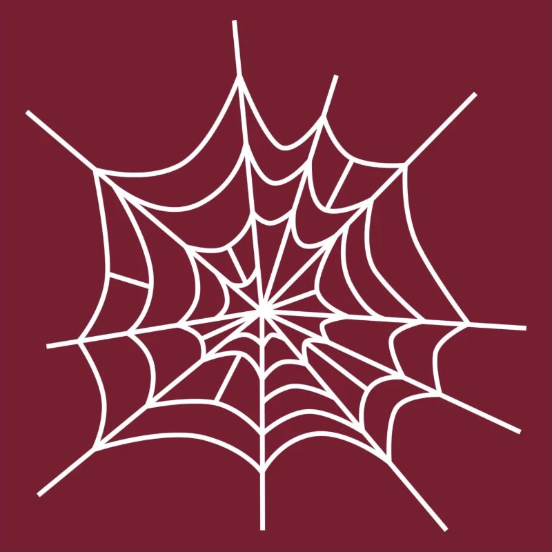Cobweb spiderweb icon spiderweb icon