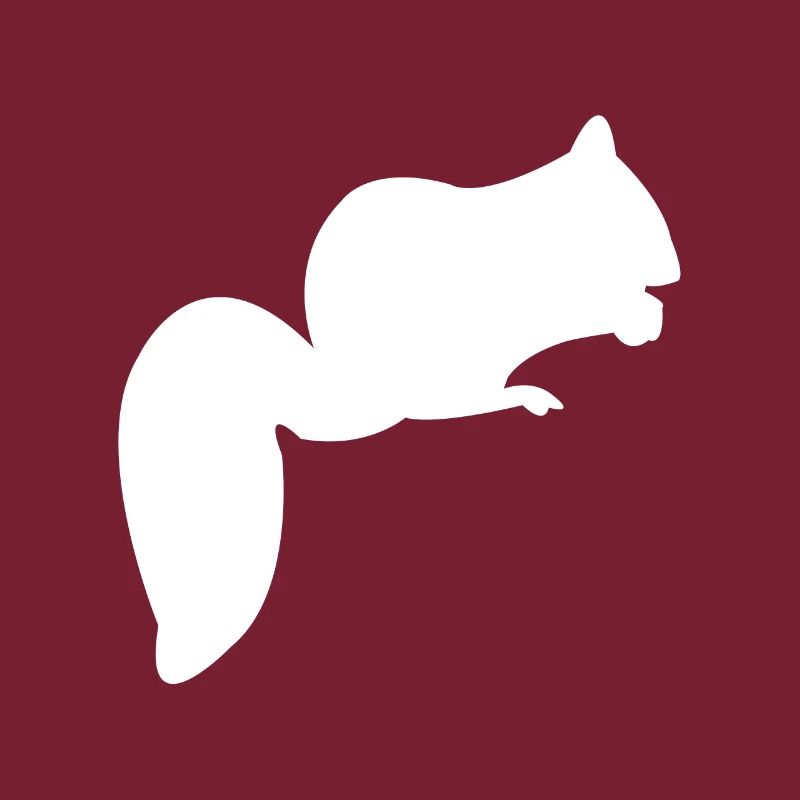 tree squirrels