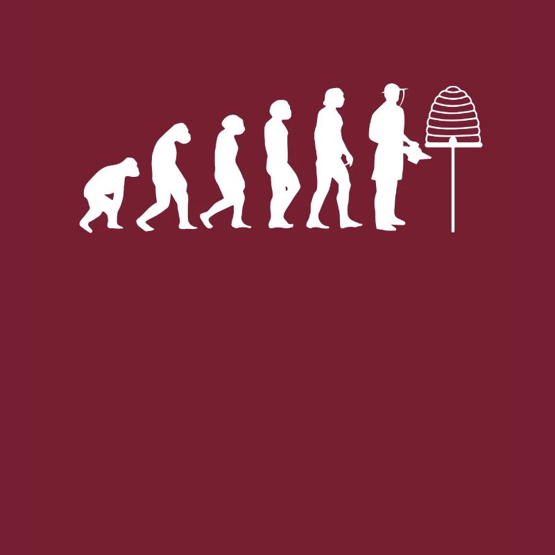 Evolution de l'apiculteur
