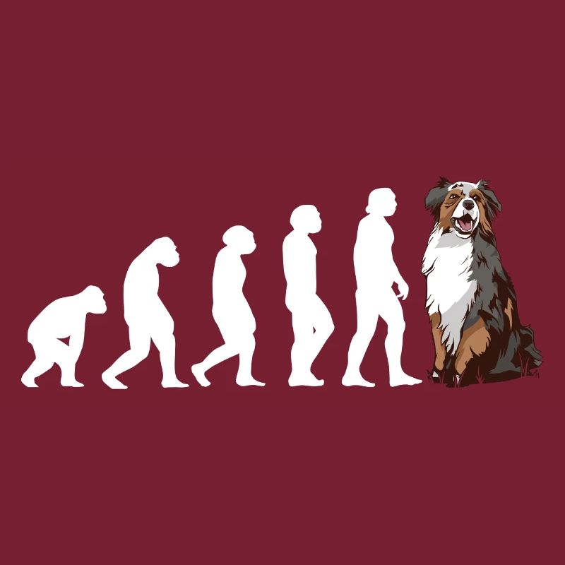 Évolution du chien Aussie
