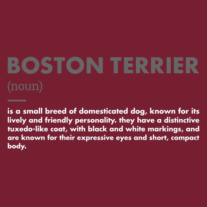 Boston Terrier Definition