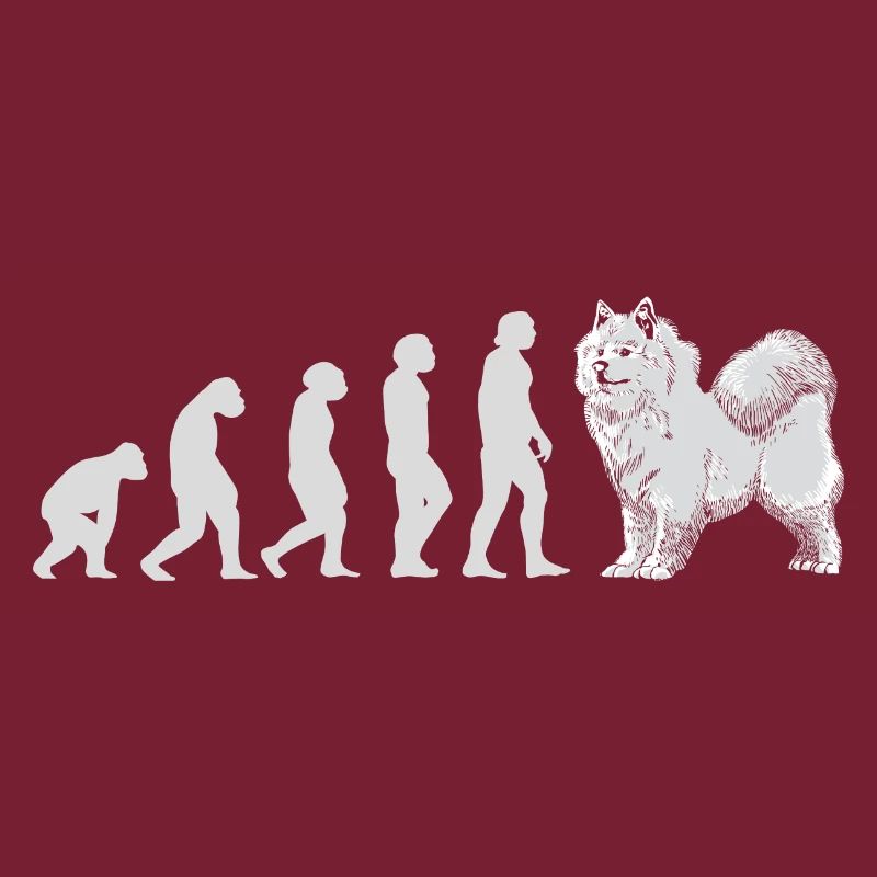 Evolution Samoyed