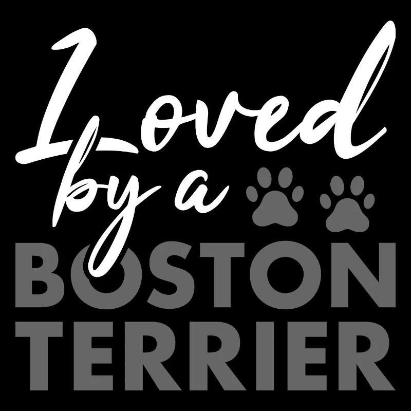 Loved By A Boston Terrier