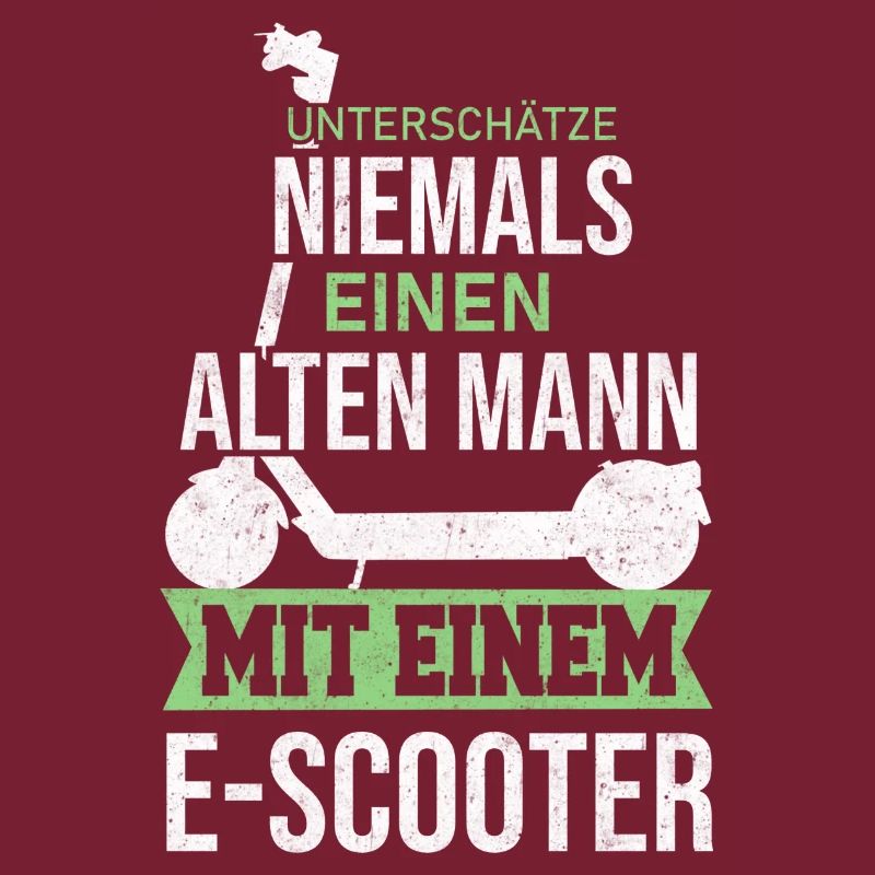E Scooter Roller Elektroroller