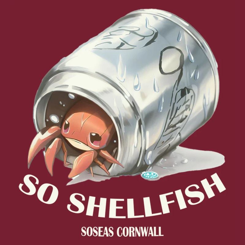 So Shellfish Hermit Crab