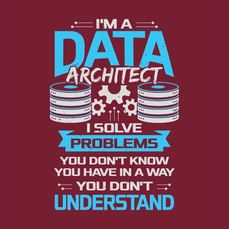 Data Architect Job Profession Gift