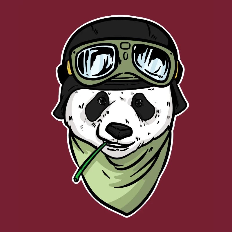 Panda bear pilot Panda hobby aviator for pilots
