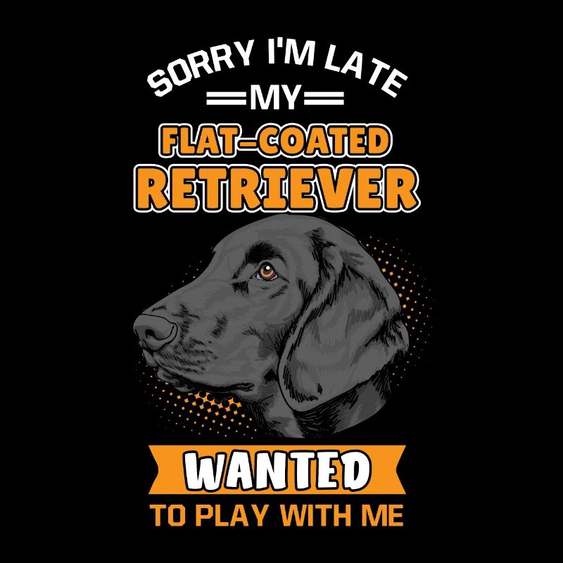 Flat Coated Retrievers