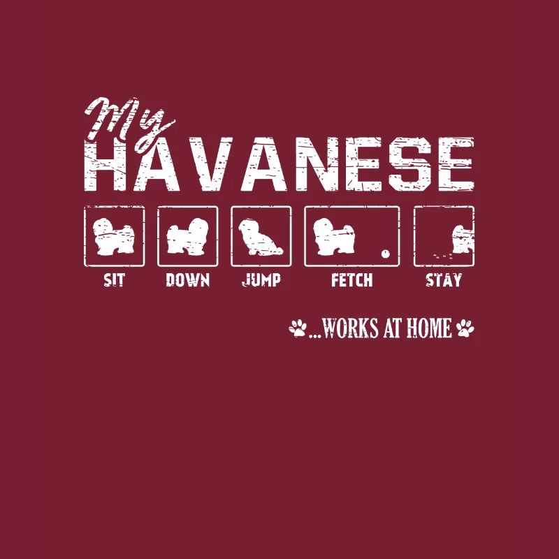 Havanese Havanese