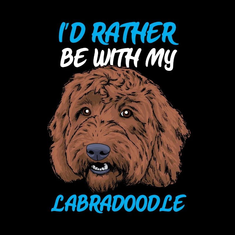 Labradoodle