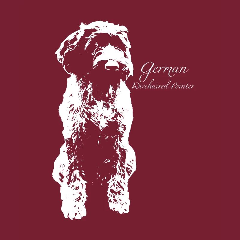 German Wirehaired Pointer