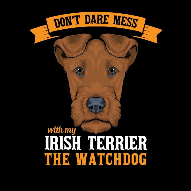 Terrier irlandais
