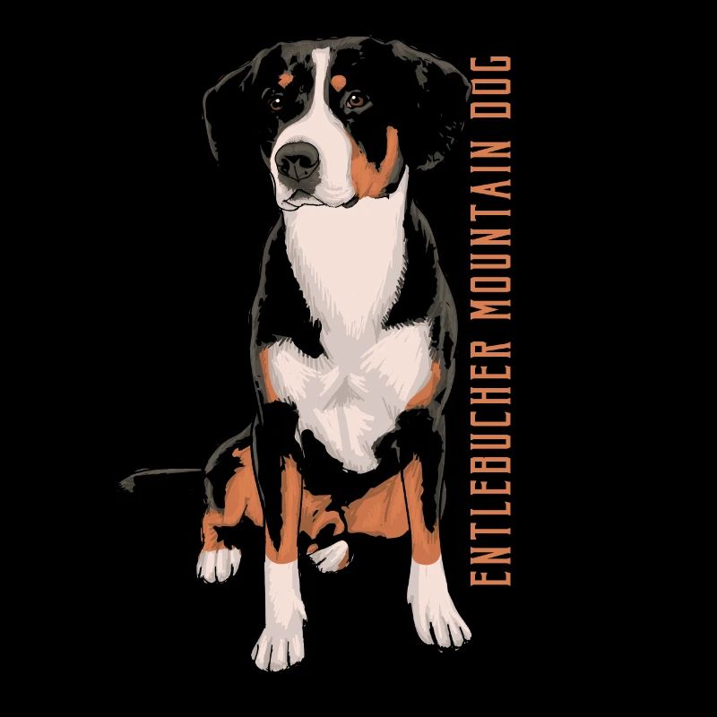 Entlebucher Sennenhund
