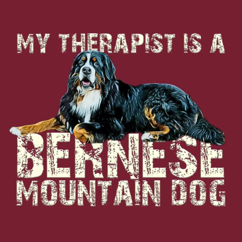 Bouvier bernois