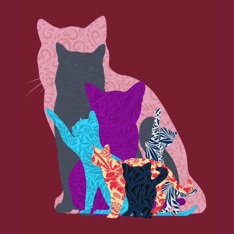 Collage de chat