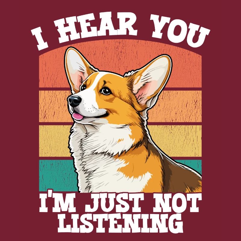 Corgi je t’entends je n’écoute tout simplement pas