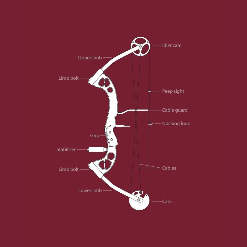 Bogenschießen Compoundbogen