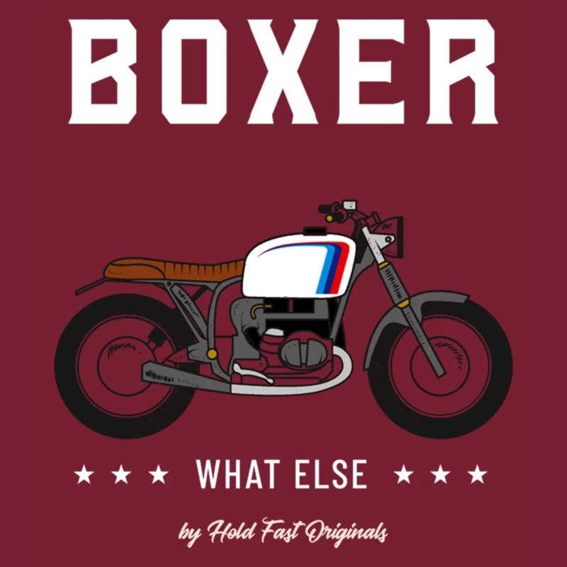 Boxer what else