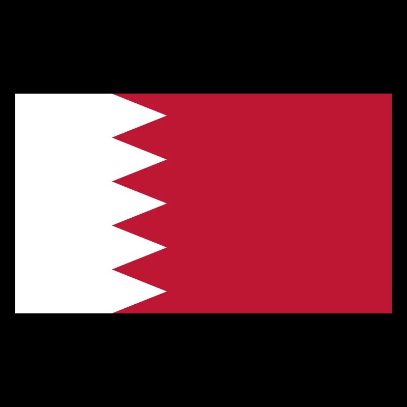 Qatar Flag Flag