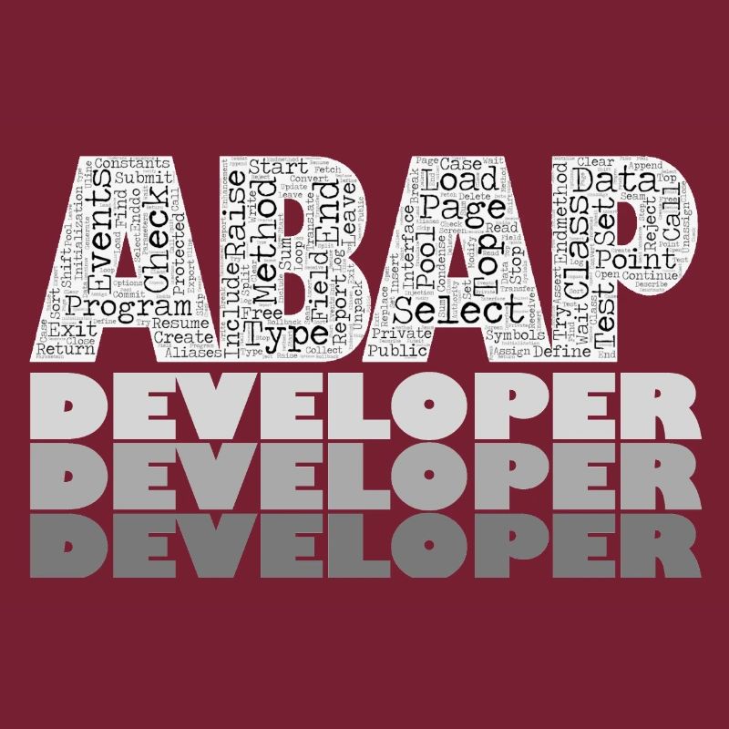 ABAP Developer