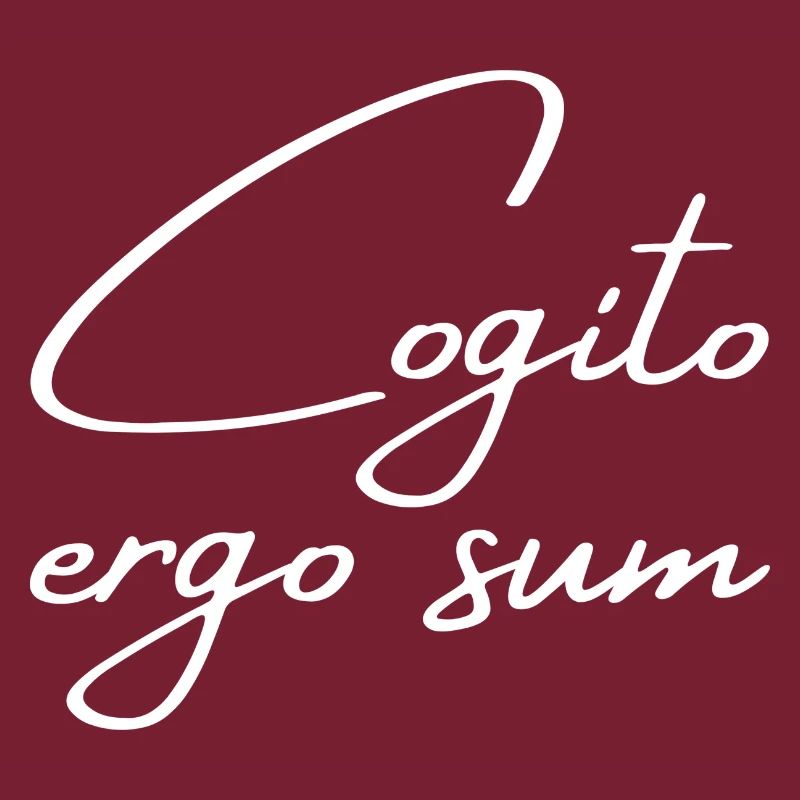 Cogito ergo sum - Ich denke also bin ich