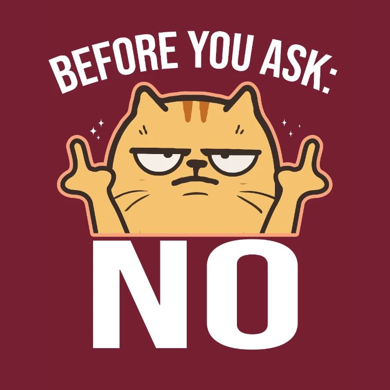 Chat effronté avec le majeur NON