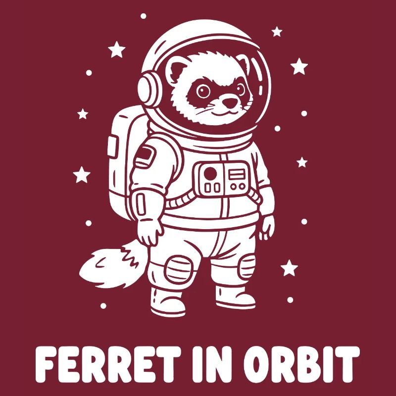 Frettchen im Orbit