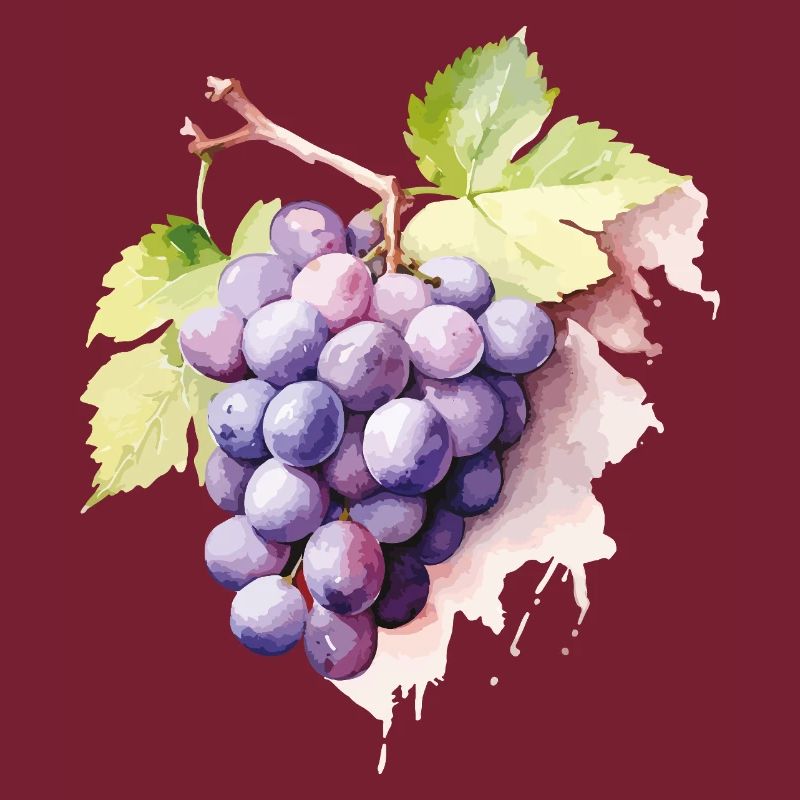 Grappe d’aquarelle de raisins
