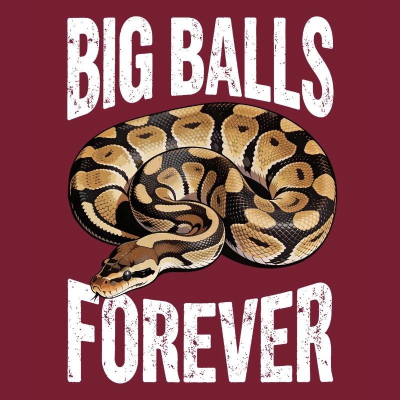 Python roi Serpents Amateurs de terrarium Python