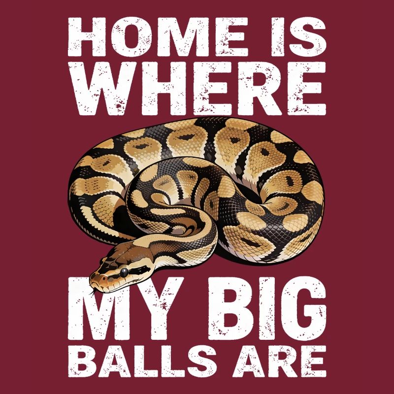 Python roi Serpents Amateurs de terrarium Python