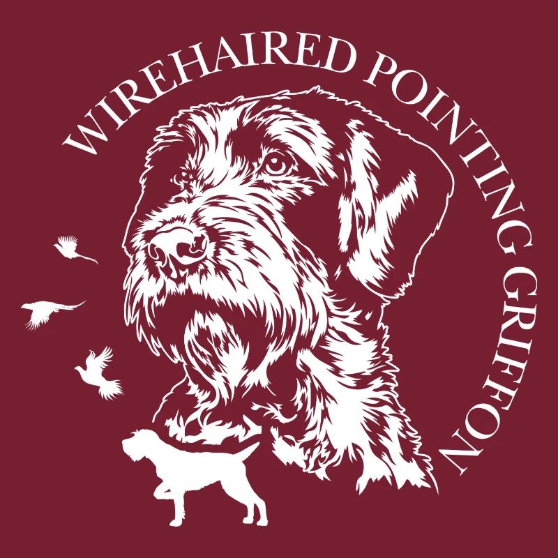 Chiens de chasse griffons pointeurs à poils durs Wilsigns
