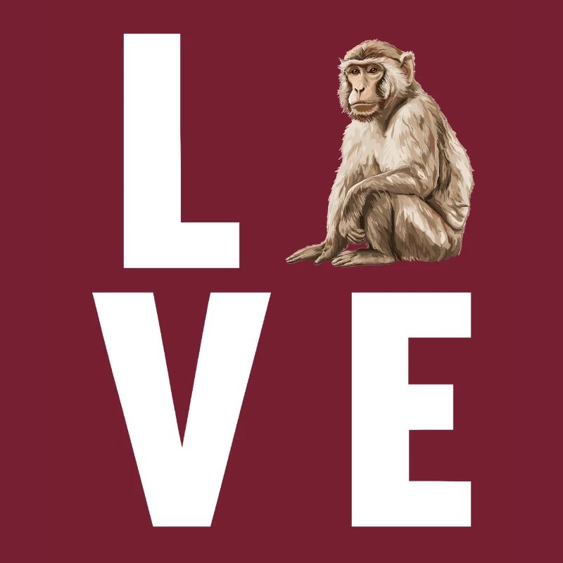 Macaque Macaque