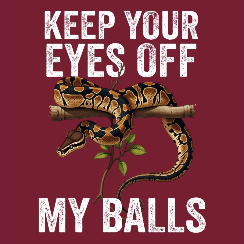 Königspython Schlangen Liebhaber Terrarium Python