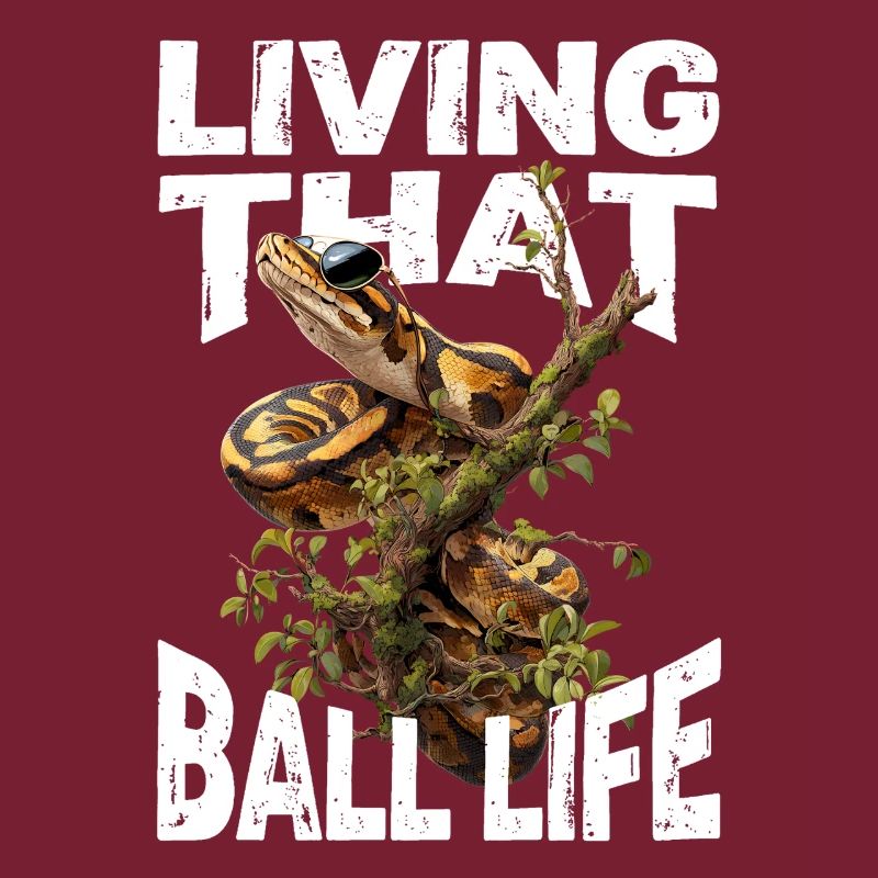 Königspython Schlangen Liebhaber Terrarium Python