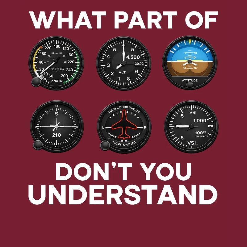 Flugzeug Flug Pilot Flugzeug Fluggesellschaft