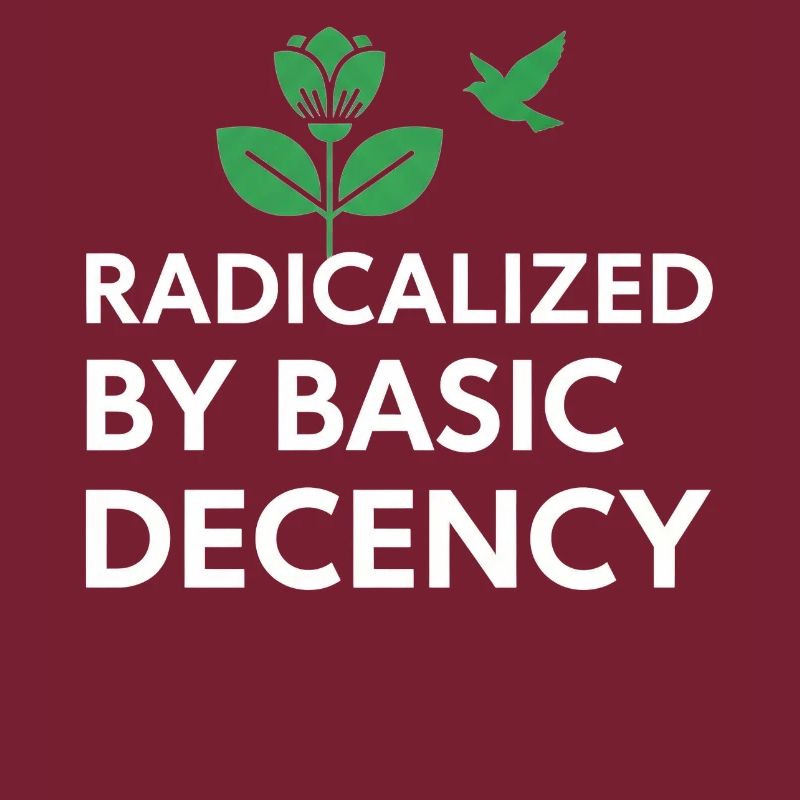 Radicalized By Basic Decency Statement shirt decal