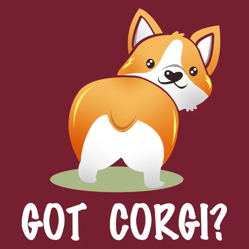 T’as des Corgi ? Corgi-Po espiègle