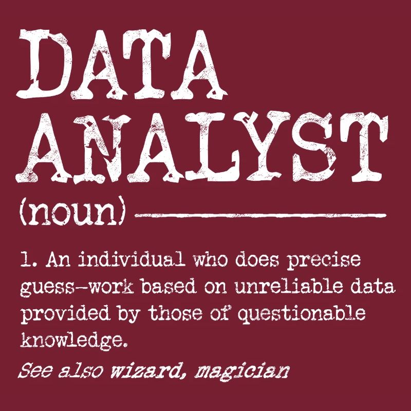 Data Analyst Meme Tee