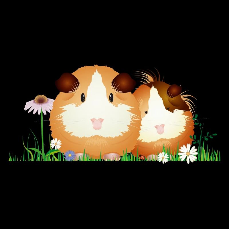 Two guinea pigs in the meadow – harmony