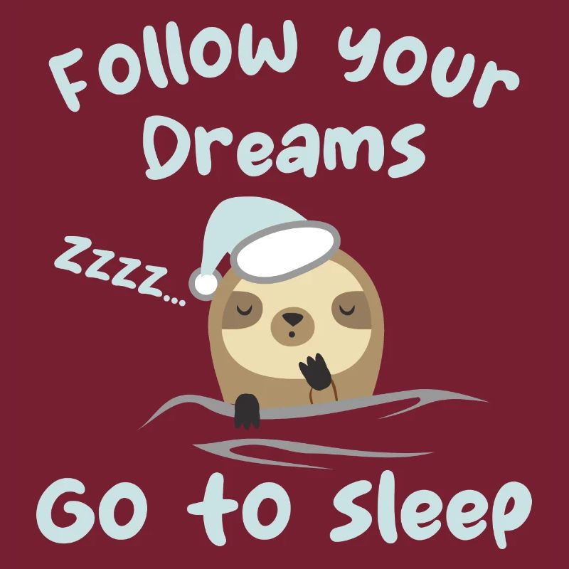 Follow your dreams, go to sleep - humour
