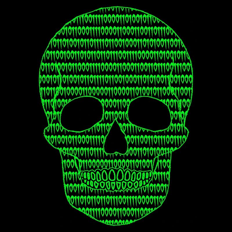 Cyber Skull