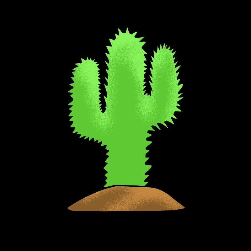 Jardin de cactus