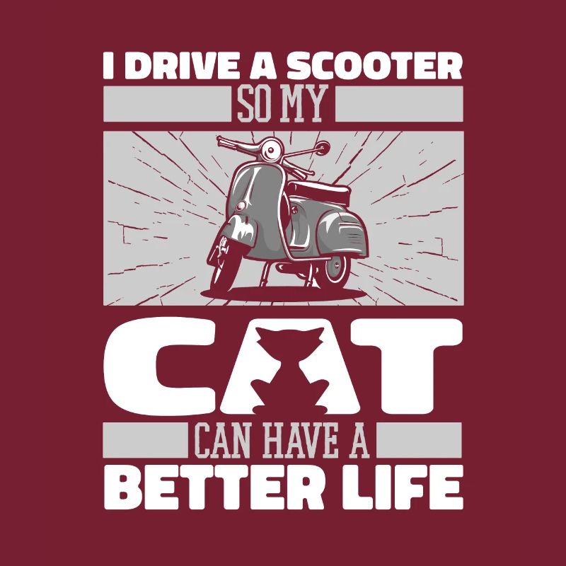 Motorroller Katze
