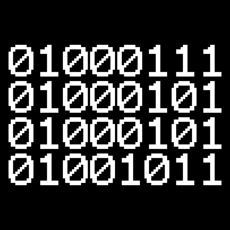 BINARY GEEK