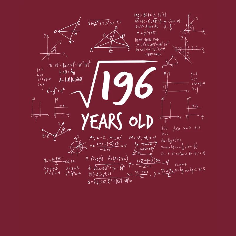 14ème anniversaire de 196 Mathématiques Nerd Math