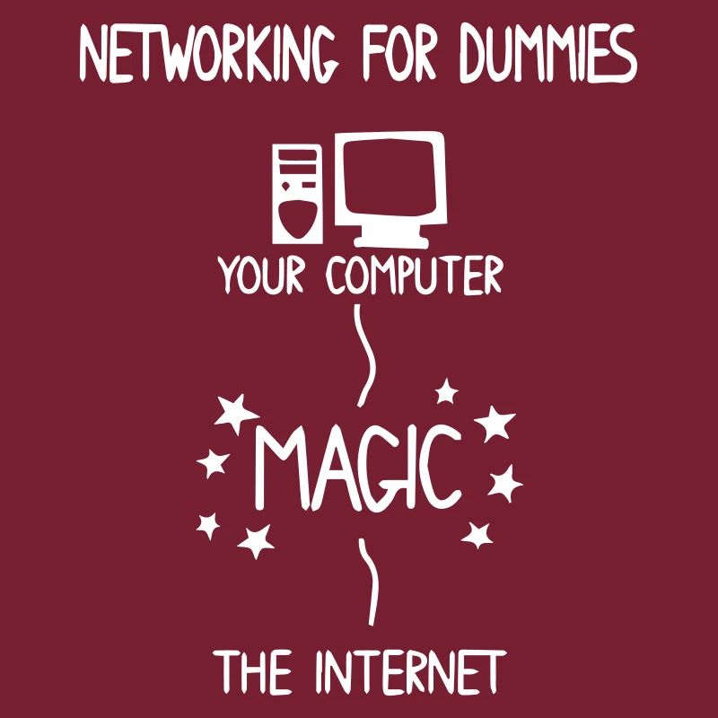 Internet Computer Netzwerk