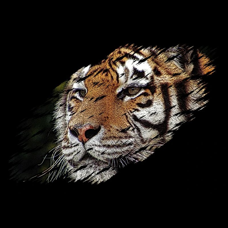 tigre