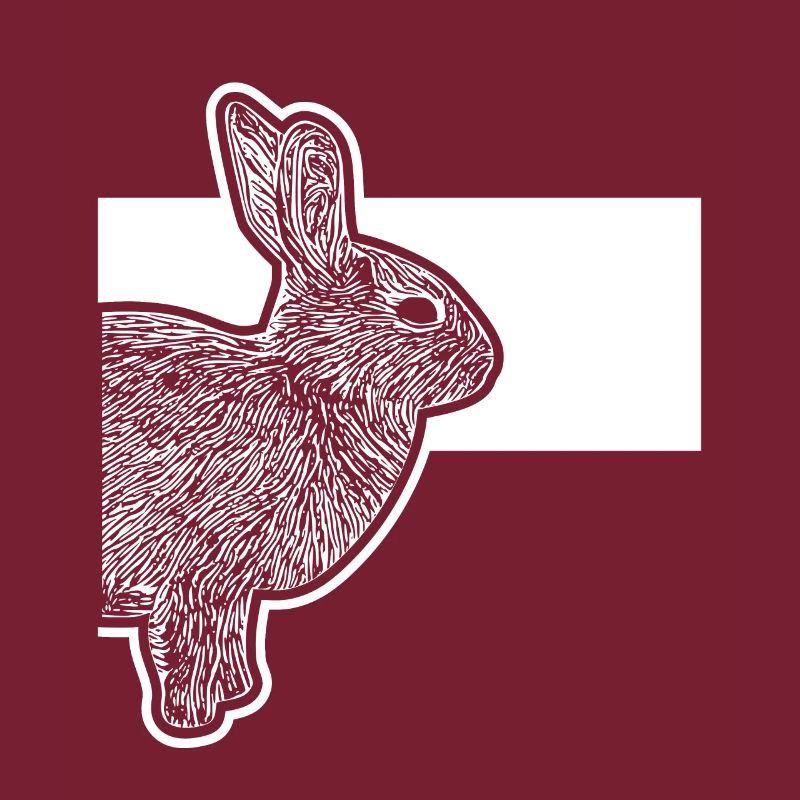 Cute Dwarf Rabbit Rabbit Breeder