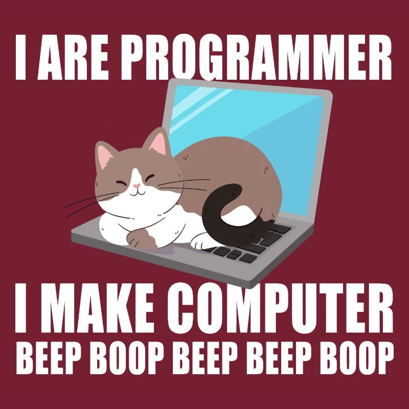 Ich bin Programmierer