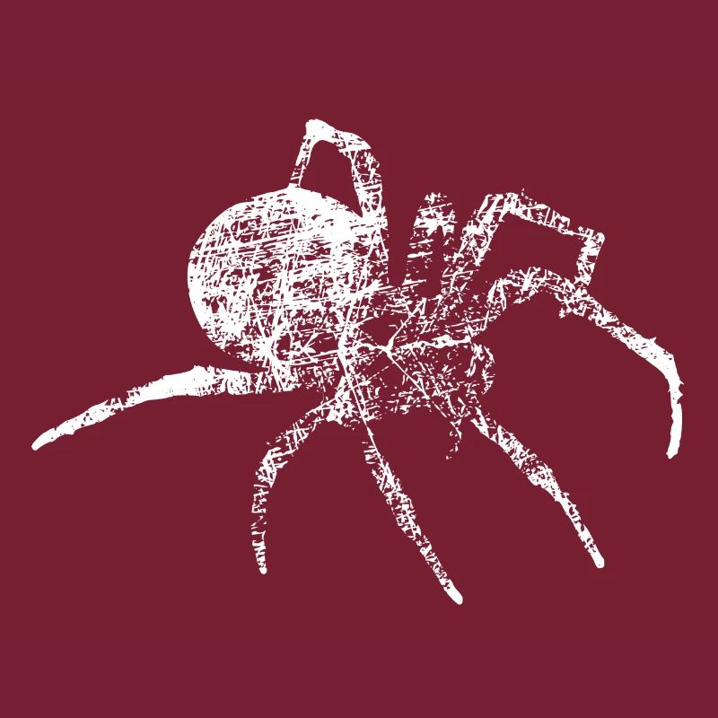 Grunge araignée - spider distressed